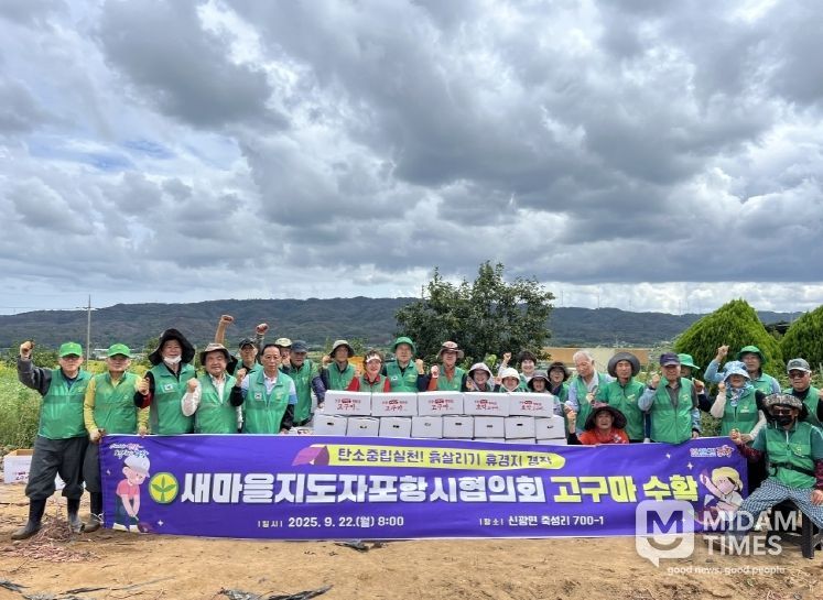 새마을지도자포항시협의회는 지난 22일 신광면 휴경지 일원에서 2025년 흙살리기 휴경지 경작 고구마 수확 활동을 마무리했다.