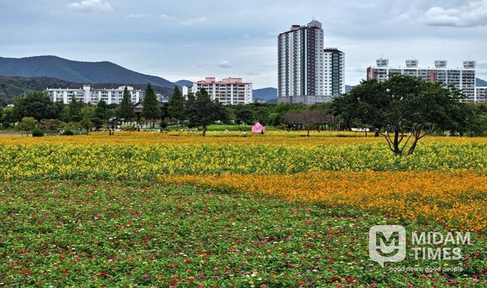 경주시가 황성문화공원 내 유휴부지에 시민과 관광객이 함께 즐길 수 있는 계절별 꽃 정원을 조성했다.