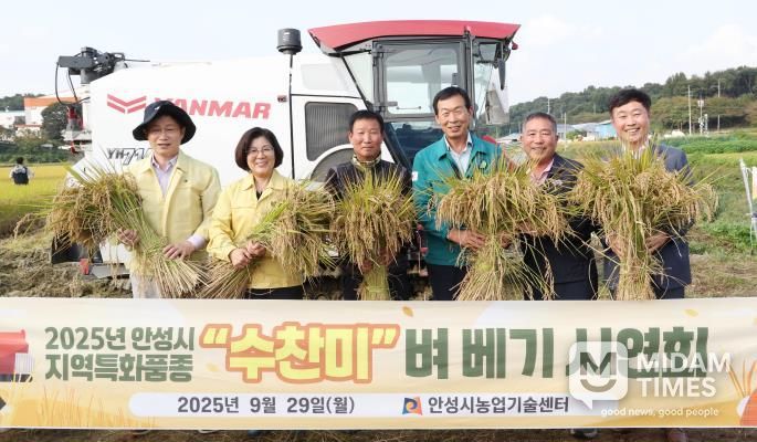 안성시농업기술센터, 지역특화품종 ‘수찬미’ 벼 베기 행사 개최