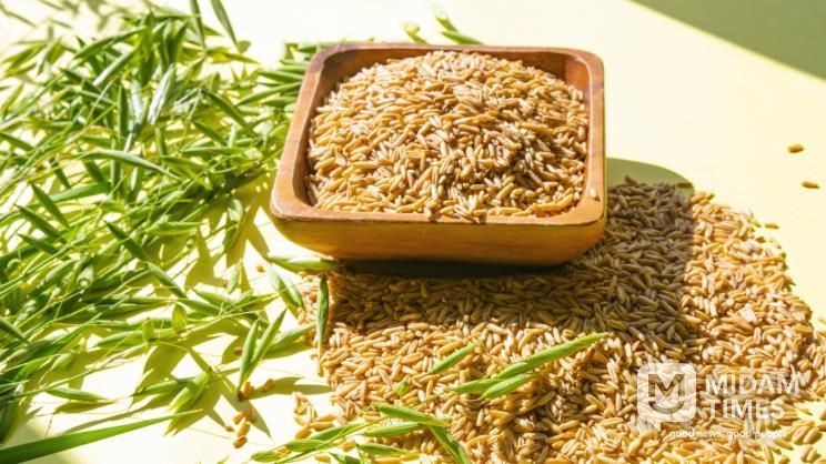 강진에서 생산되는 쌀귀리.