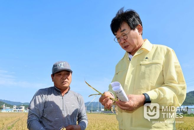 벼 깨씨무늬병’ 피해 최소화 총력 대응