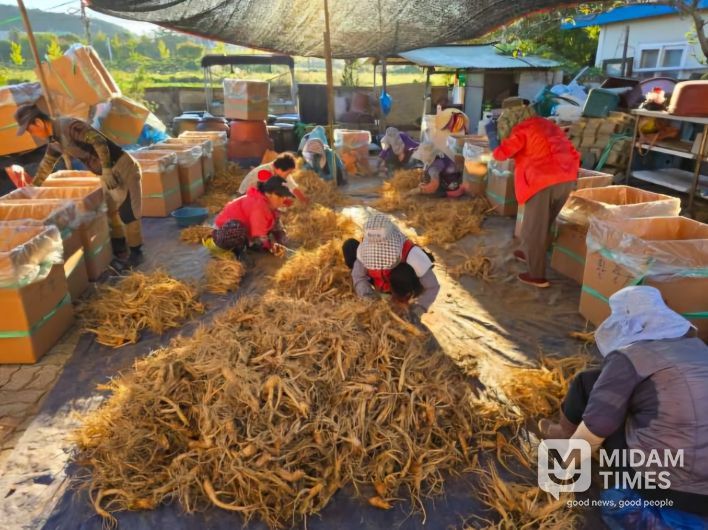 증평군,‘증평형 농촌일손 더하기’