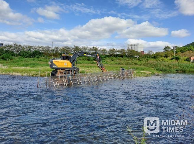 울주군, 2025년 태화강 회귀연어 조사 실시