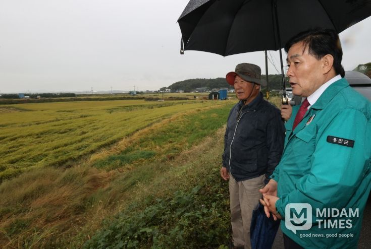 벼 도복 피해 현장 방문, 피해 최소화에 총력