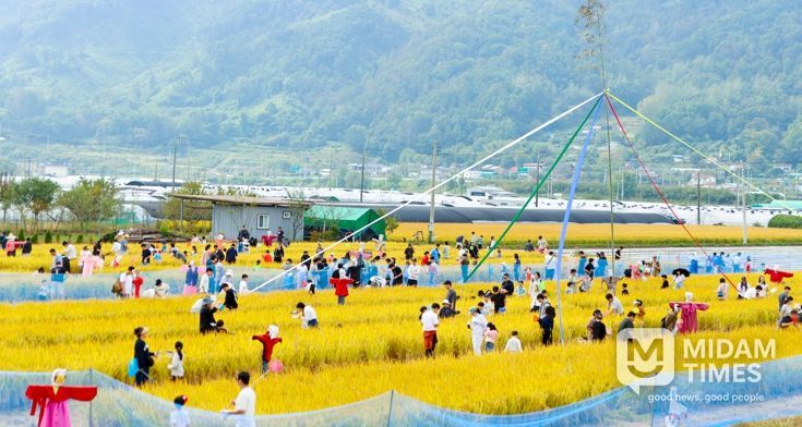 2025 성주가야산 황금들녘 메뚜기축제 개최