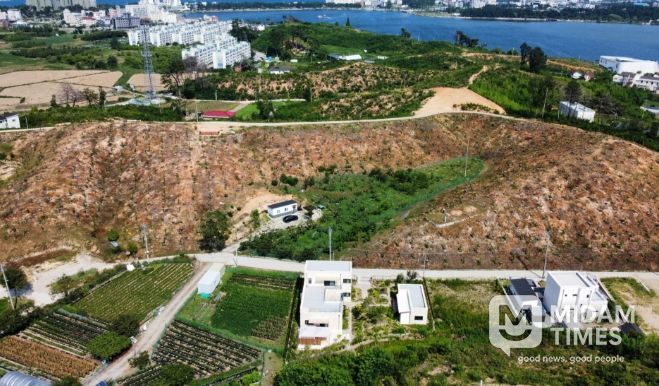 2025년 '우리가 키운 우수조림지' 최우수기관 선정