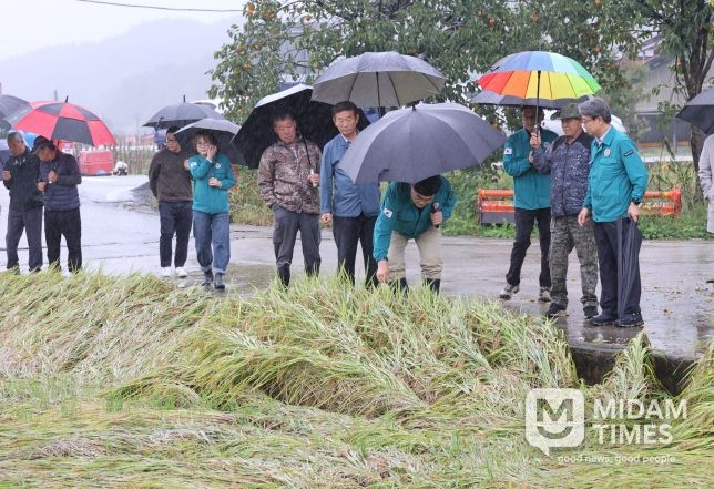 벼 피해 영농현장 방문