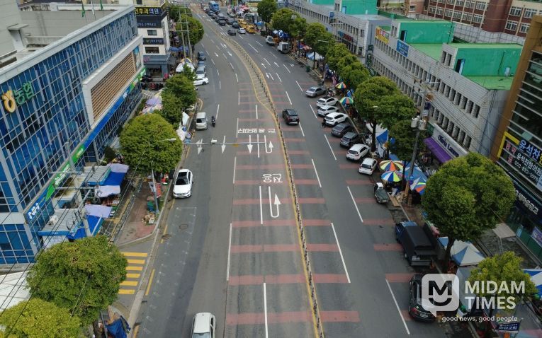 달성군 가로수 테마전정(원형 전지한 화원읍 구간)