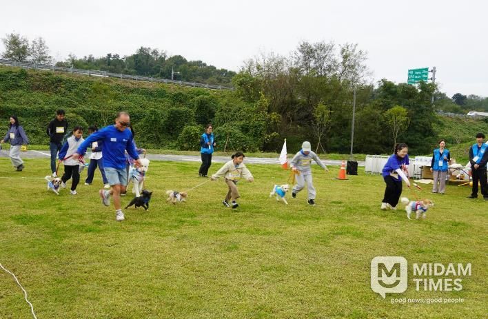반려마루화성 홈커밍데이 (2) 경기사진