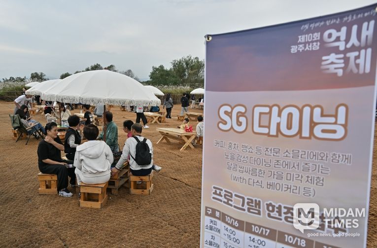 광주서창억새축제 10년의 감성으로 물들다