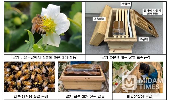 딸기에서 화분 매개용 꿀벌 표준 사용법