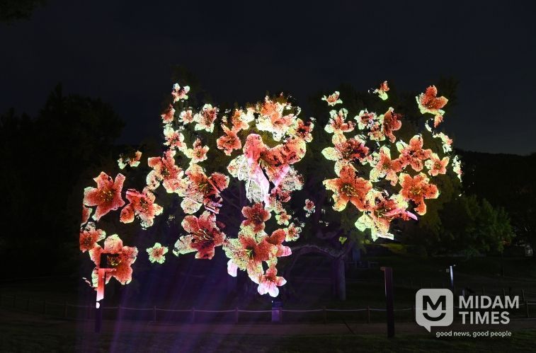 달성군 도동서원 미디어파사트 사진