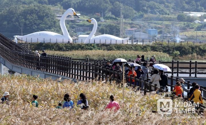 지난해 강진만 생태공원에서 열린 강진만 춤추는 갈대축제 모습