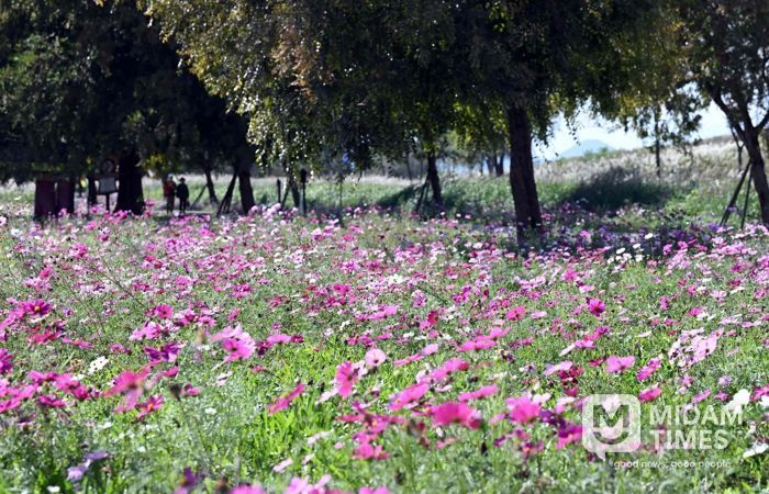밀양시 초동연가길 전경
