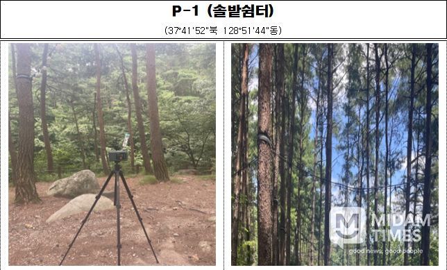 강원특별자치도 보건환경연구원,'강릉솔향수목원' 피톤치드 조사