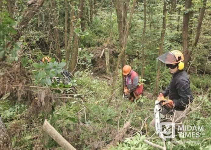 산불 예방을 위한 맞춤형 숲가꾸기