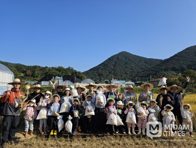 아빠와 아이가 함께한 가을의 추억, 벼 수확 체험