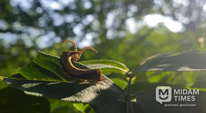 제 19회 전국 숲 해설 경연대회 숲 사진 부문 수상작