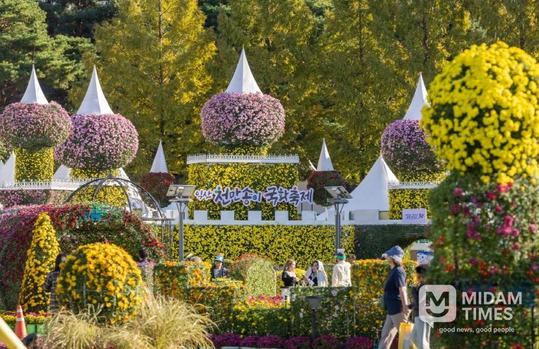 전국을 물들인 익산 천만송이 국화축제 대흥행