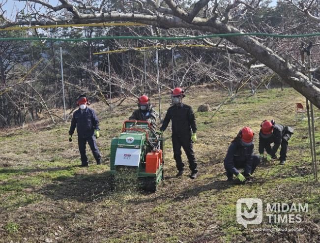보성군은 오는 11월 3일부터 ‘영농부산물 파쇄지원단’을 본격 운영해 산불 예방과 미세먼지 저감, 농촌 일손 부담 완화에 나선다_2024년 파쇄지원단 활동 사진(1)
