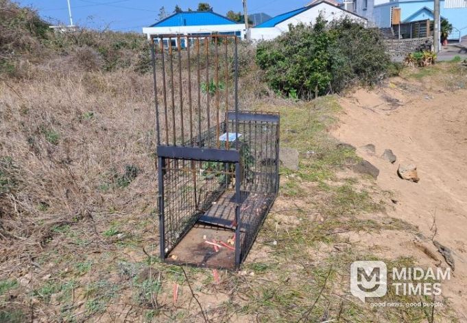 유기견·방견 포획틀