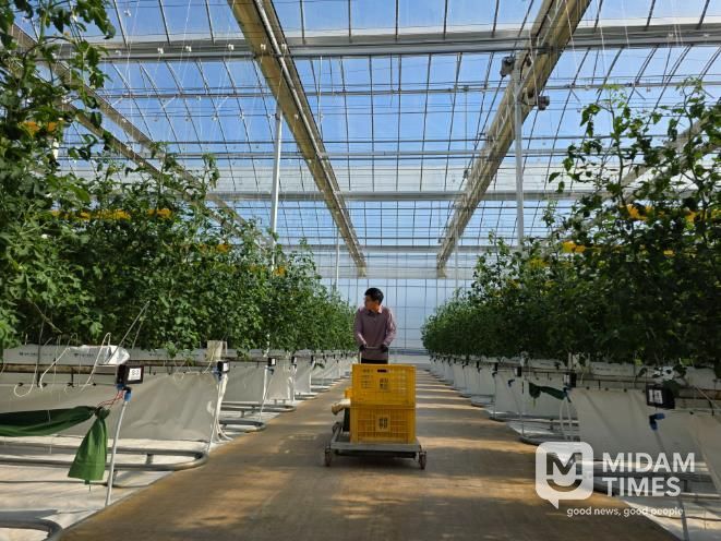 남원시, 26년 청년창업 스마트팜 패키지 지원사업 예산확보