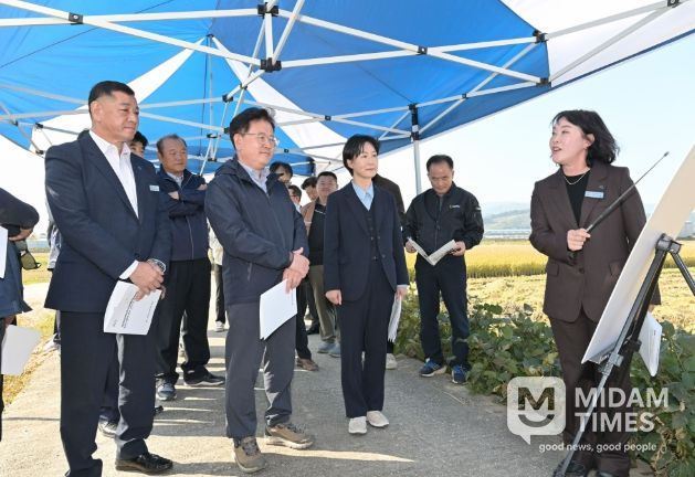 공주시 벼 수확·수매 현장 방문