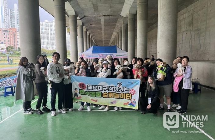 해운대구 반려동물