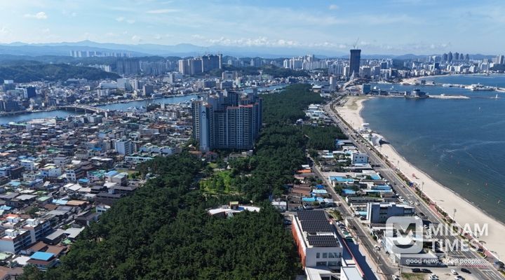 송도솔밭 도시숲 전경