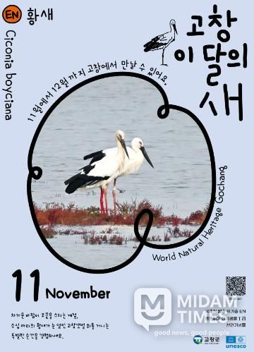 고창군, 11월 고창갯벌 이달의 새로 ‘황새’ 선정