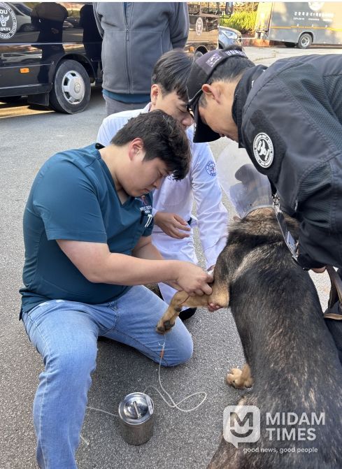 경상국립대학교 수의과대학, APEC 정상회의 기간 경찰견 의료지원