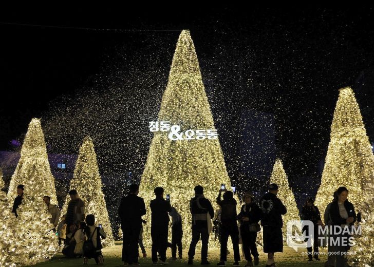 2025 창원시 빛의거리 조성 현장