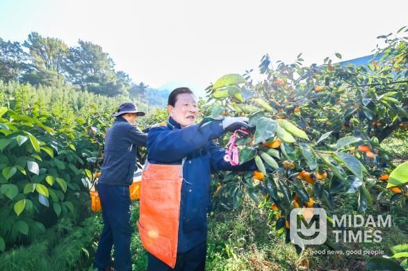 함안군, 가을철 농촌일손돕기 나서