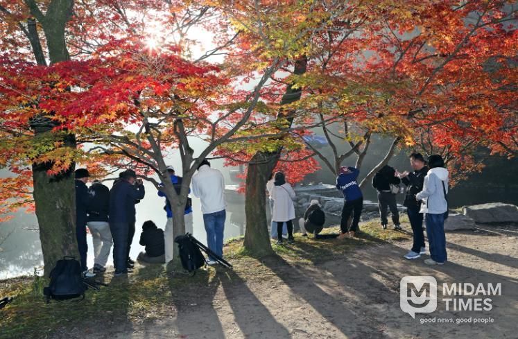 가을 명소 정읍 내장산, 고운 단풍 빛깔 뽐내…“다음 주 절정 예상”