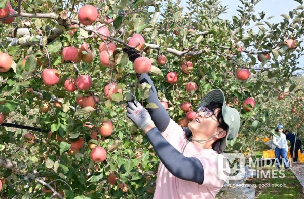 청송군, 가을철 농촌일손돕기 추진