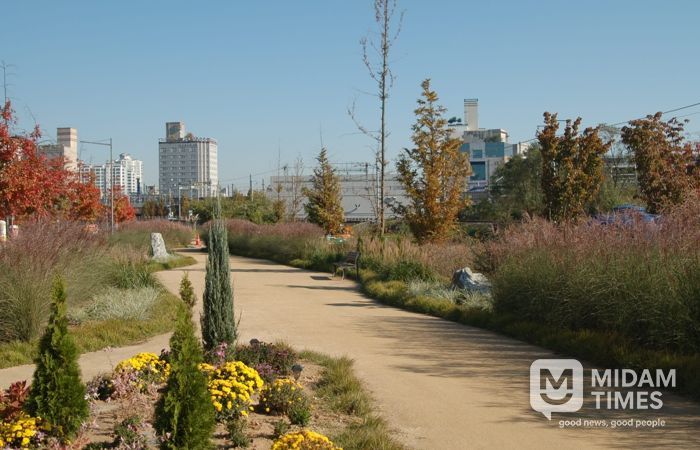 청주시 오송물결정원, 주민 손길 더해 가을정원으로 변신