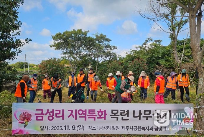 금성리 지역특화 목련나무 심기