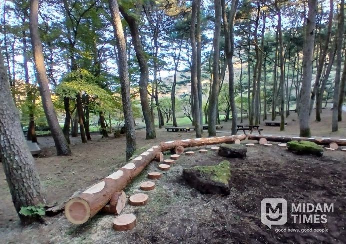 간벌목 활용 자연형 수로·휴식공간