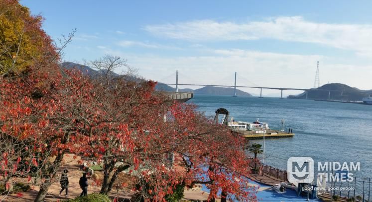 가을 단풍 명소 ‘돝섬’ 으로 오세요