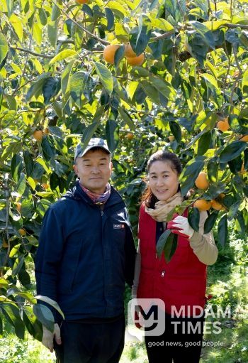 1. 대한민국 과일선발대회에서 우수상을 수상하신 길곡면 농가주 오명주, 윤한업 씨 부부