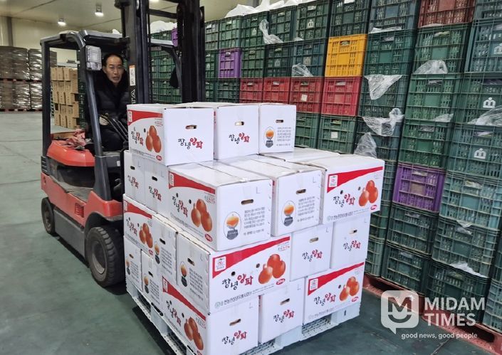 창녕 양파를 차량에 옮기는 모습