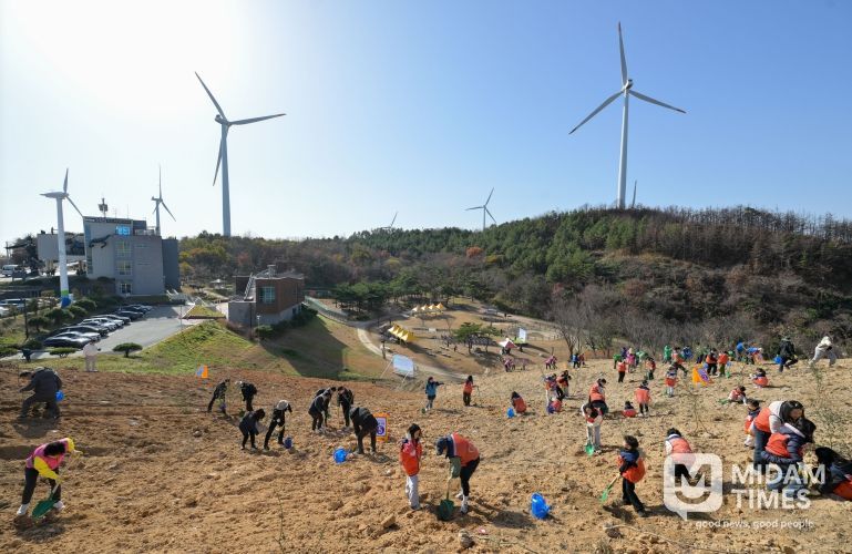 영덕군 별파랑 희망심기