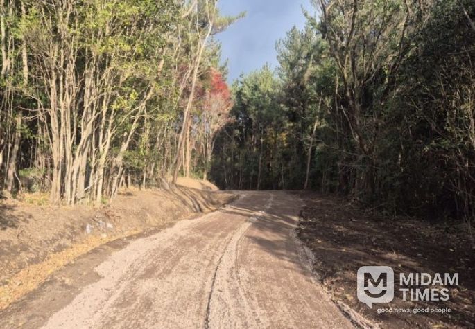 상효 임도 연장