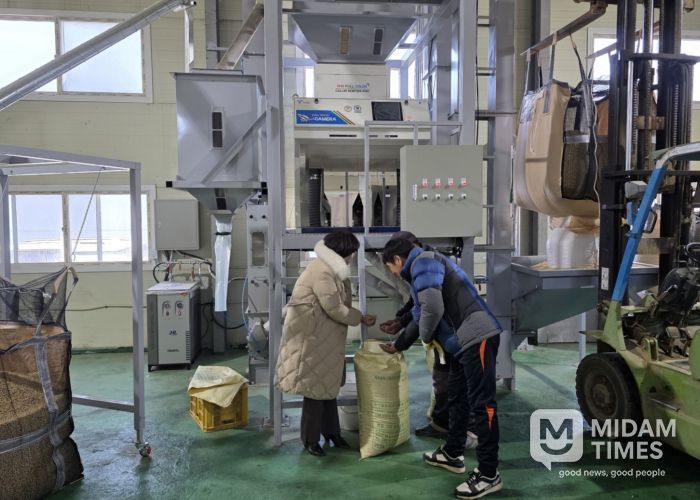 고품질 경기콩, 색채선별기로 품질과 효율 ‘두 마리 토끼’ 잡다