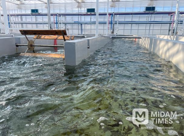 육상 김 양식(수로형 트랙 수조)