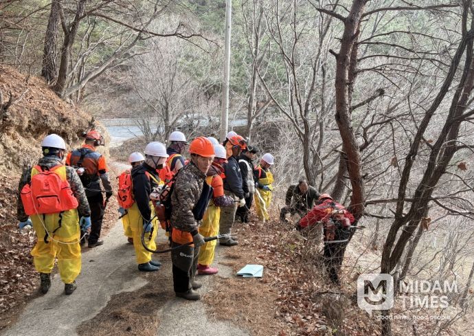 울진군, 소나무재선충병 확산 차단 총력