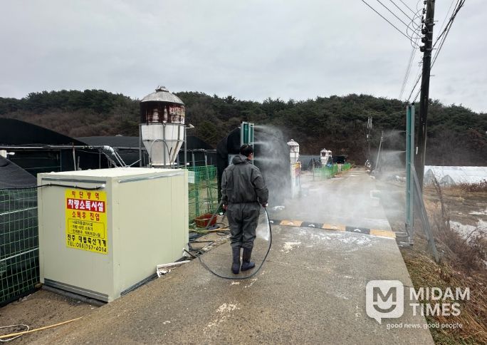 오리농가 농장출입구 2단계 소독