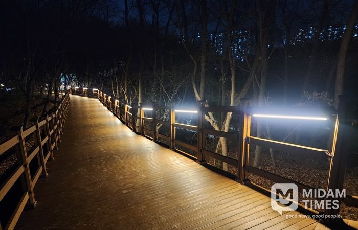 용인특례시가 수지구 상현동 서봉숲속 근린공원에 조성한 '서봉숲길'