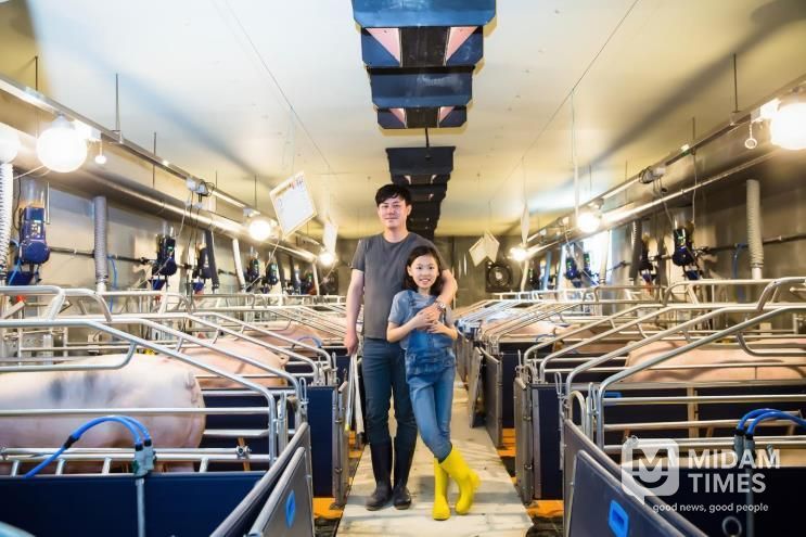 정읍시, ‘깨끗한 축산농장’ 265곳 지정… 목표 초과 달성