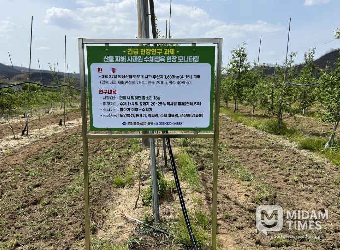 사과원, 회복 가능성 판단 기준 제시